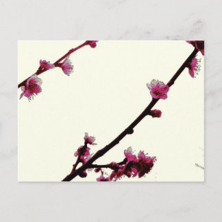Plum Postcard