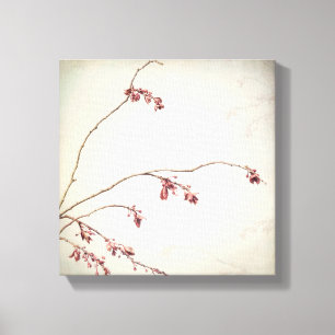 Plum Tree Branch with Spring Buds Seabeck, WA Canvas Print