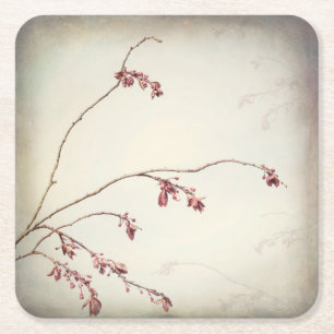 Plum Tree Branch with Spring Buds   Seabeck, WA Square Paper Coaster