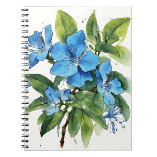 Plumbago Auriculata - Watercolor flowers Notebook