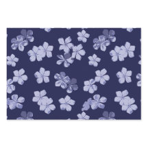 Plumbago Blue flowers