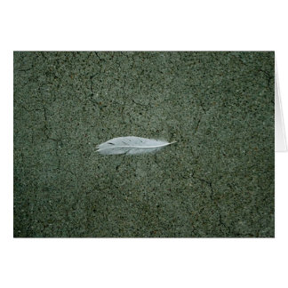 Plume