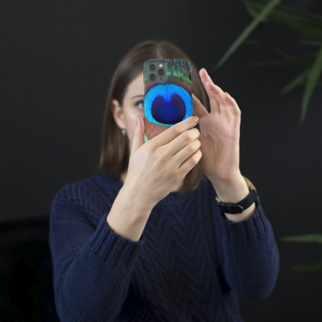 Plume de paon coloré Eyespot (In Situ)