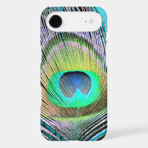 Plume de paon sur turquoise