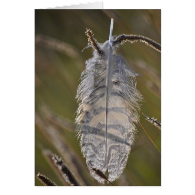 Plume d'esprit quotidienne (Devant)