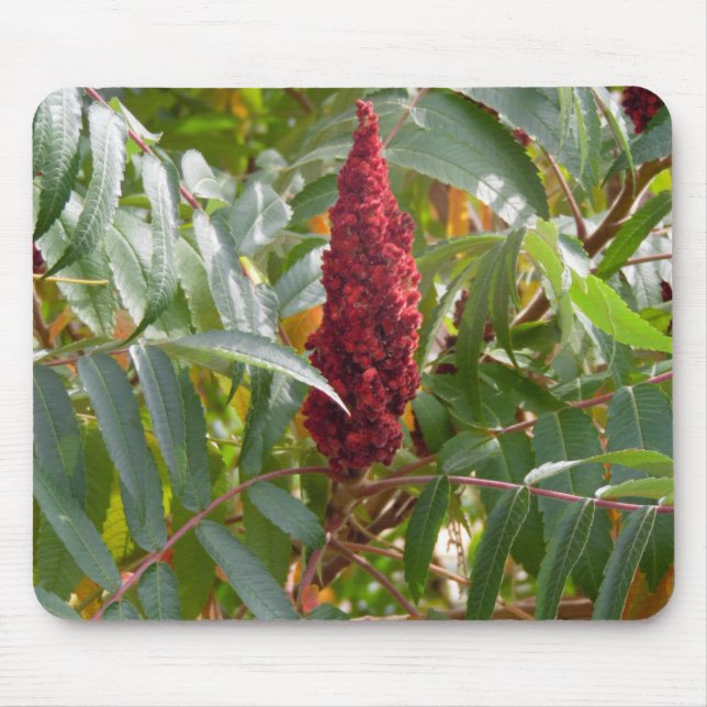 Plume of Flowers Mouse Pad (Front)