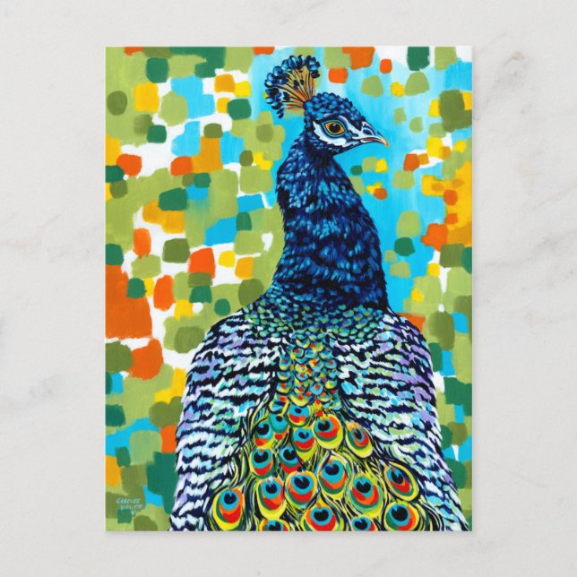 Plumed Peacock II Postcard (Front)