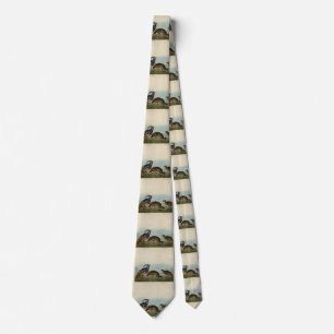 Plumed & Thick-legged Partridges - Audubon's Birds Tie