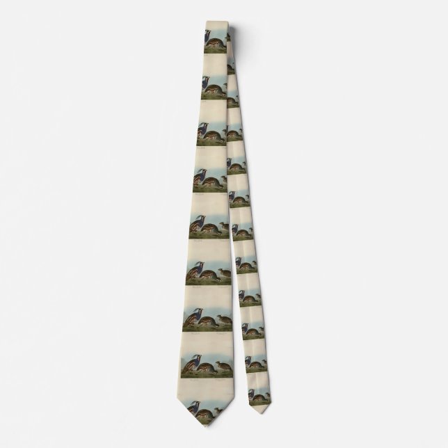 Plumed & Thick-legged Partridges - Audubon's Birds Tie (Front)