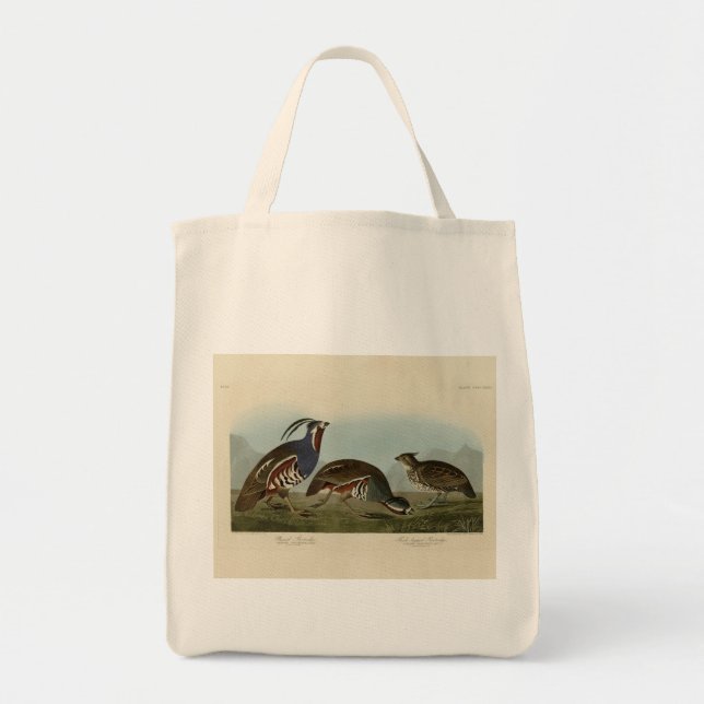 Plumed & Thick-legged Partridges - Audubon's Birds Tote Bag (Front)
