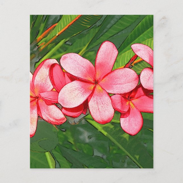 Plumeria (Front)