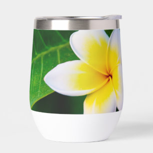 plumeria