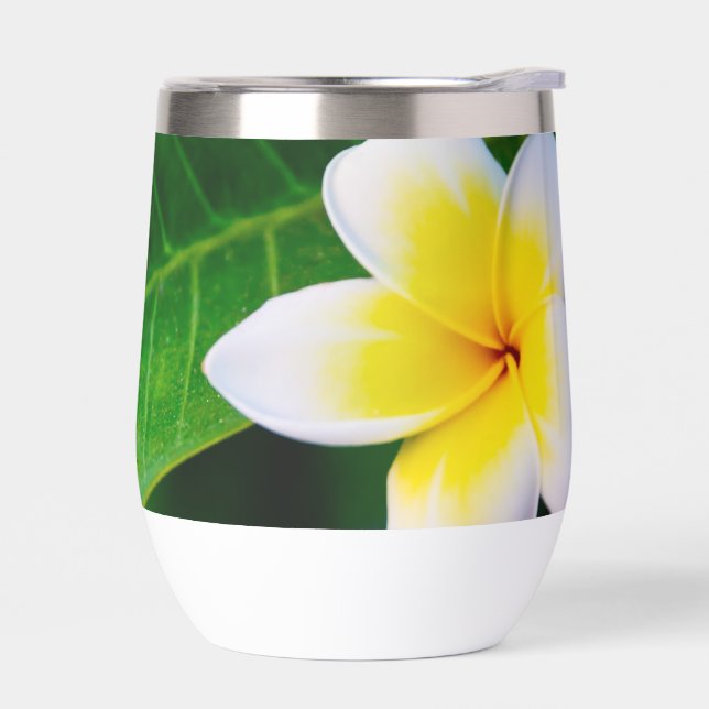 plumeria (Left)