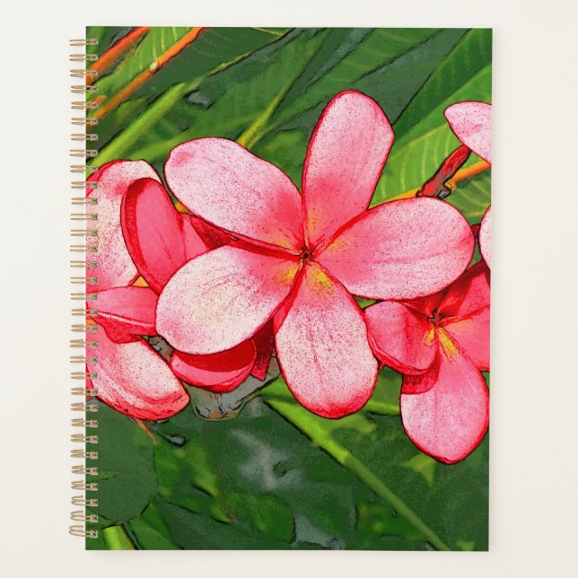 Plumeria (Devant)