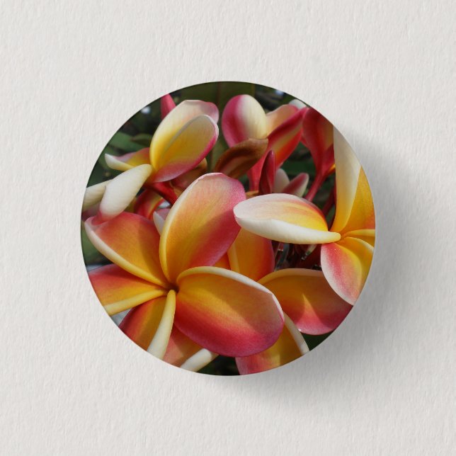 plumeria 1 inch round button (Front)