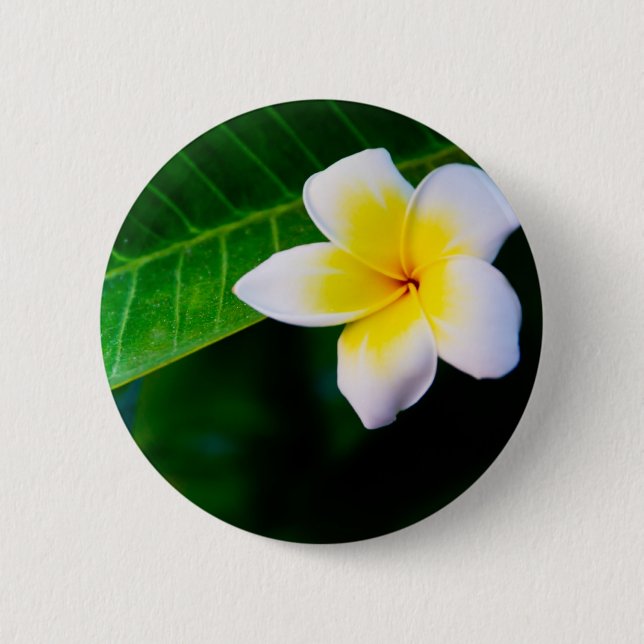 Plumeria 2 Inch Round Button (Front)