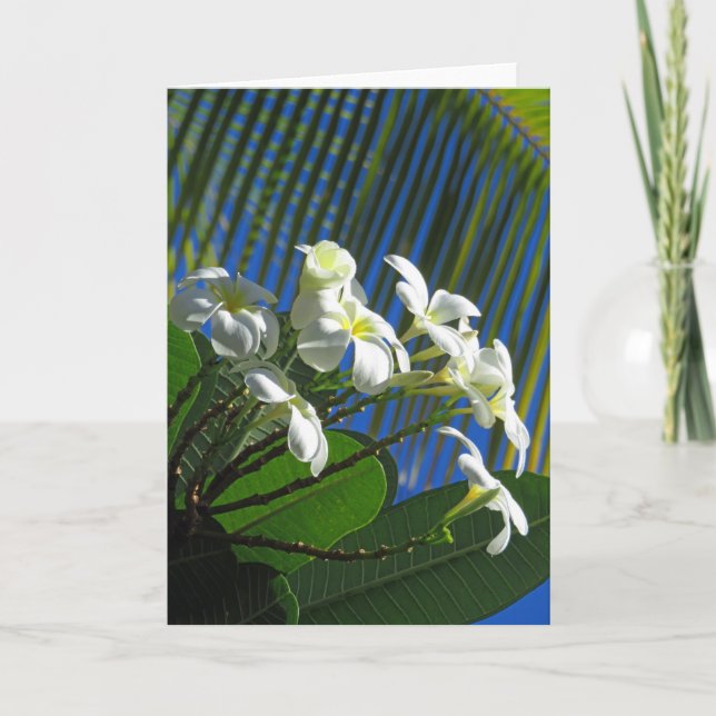 Plumeria and Palm Card (Front)