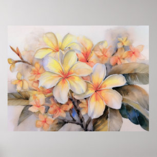 Plumeria and Shell Ginger Poster