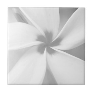 Plumeria - Black and White Macro Portrait Tile