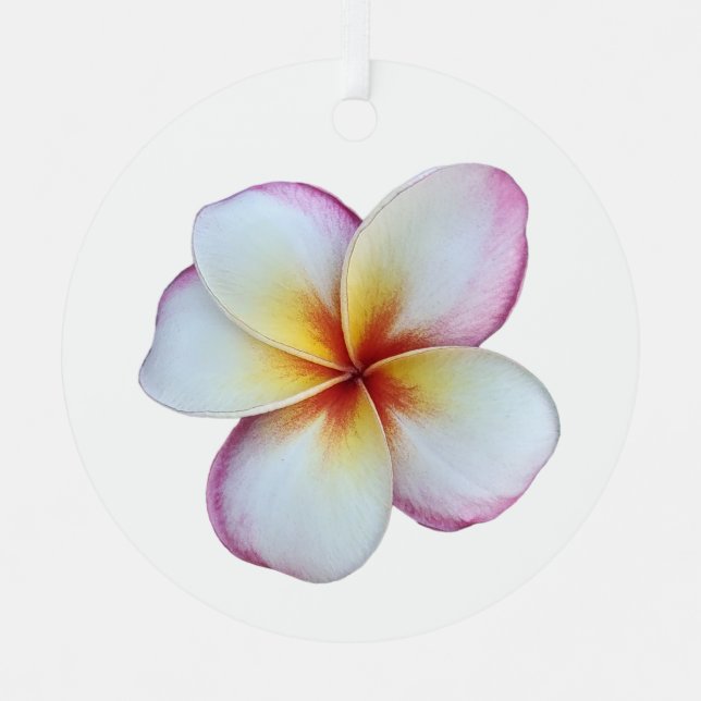 Plumeria Bloom Ornement métallique (Recto)