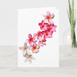 Plumeria Blooms Collage Folded Greeting Card