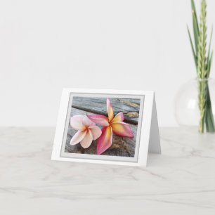 Plumeria blooms  note card