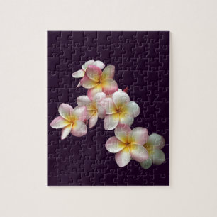 Plumeria blossoms on dark purple jigsaw puzzle