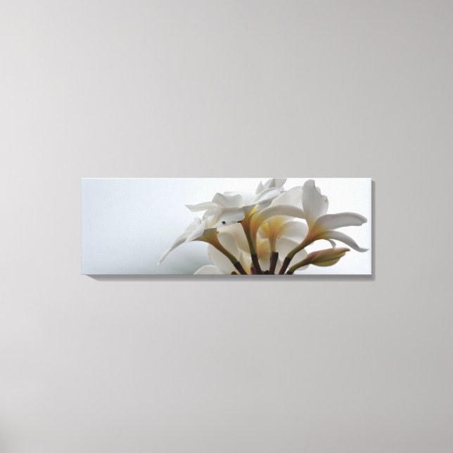 Plumeria Canvas Print (Front)