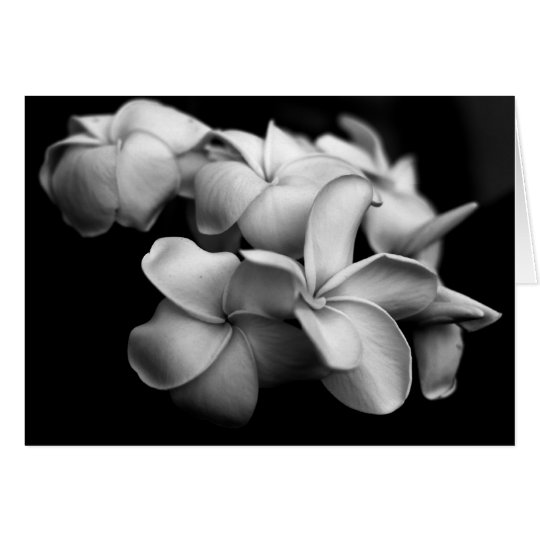Plumeria Card