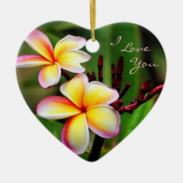 Plumeria d'arc-en-ciel, je t'aime ornement (Devant)