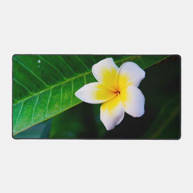 plumeria desk mat (Front)