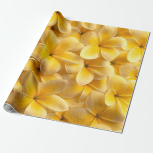 Plumeria Flower Yellow Wrapping Paper