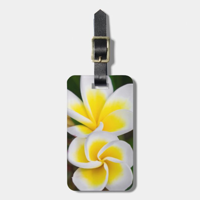 Plumeria flowers close-up, Hawaii Luggage Tag (Front Vertical)
