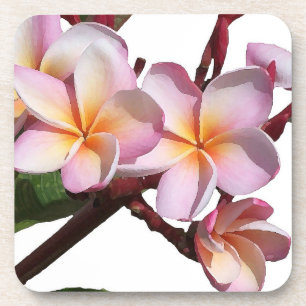 Plumeria Flowers Cork Coaster