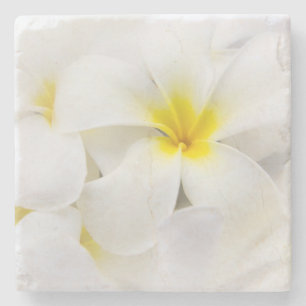 Plumeria Flowers Hawaiian Frangipani Floral Flower Stone Coaster