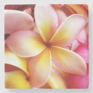 Plumeria Flowers Hawaiian Frangipani Floral Stone Coaster