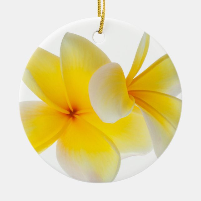 Plumeria Flowers Hawaiian White Yellow Frangipani Ceramic Ornament (Front)
