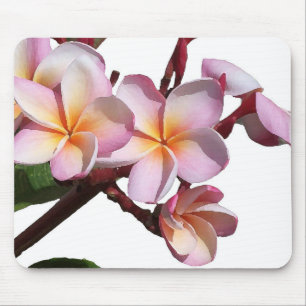 Plumeria Flowers Mousepad