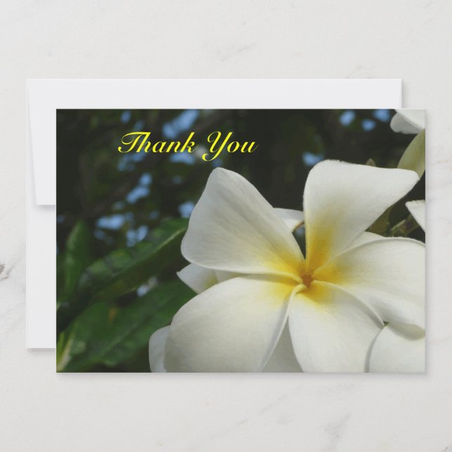 Plumeria Frangipani Flower Sympathy Thank You Card (Front)