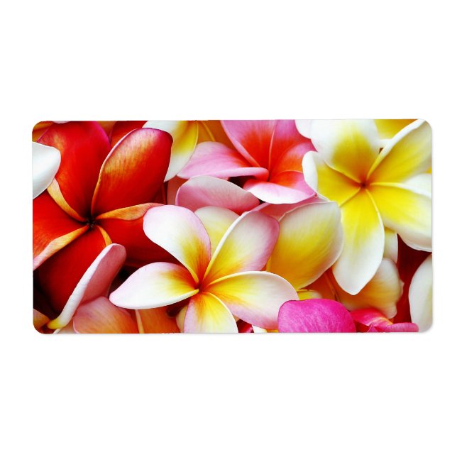 Plumeria Frangipani Hawaii Flower Customized (Front)