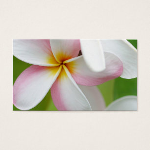 Plumeria Frangipani Hawaii Flower Customized Blank