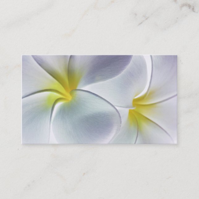 Plumeria Frangipani Hawaii Flower Customized Blank Business Card (Front)