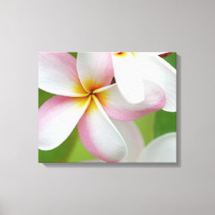 Plumeria Frangipani Hawaii Flower Customized Blank Canvas Print