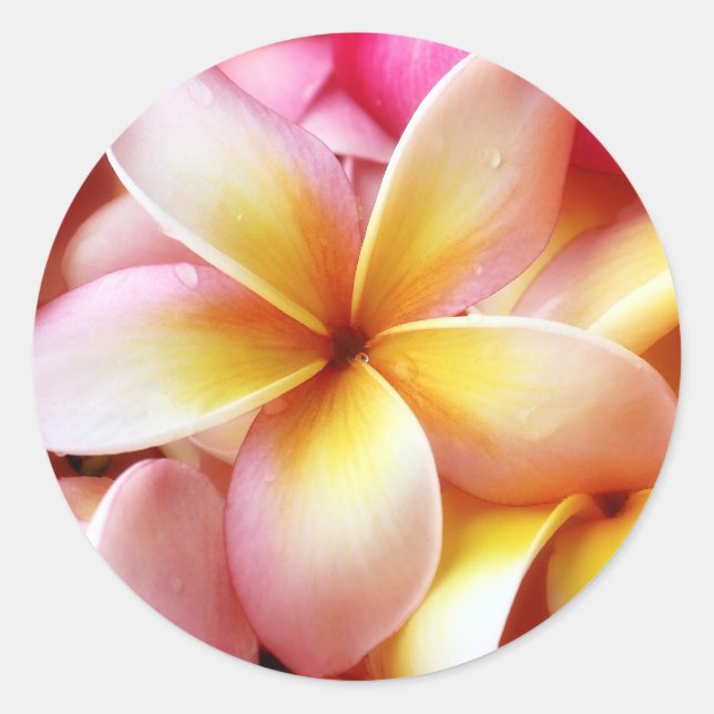 Plumeria Frangipani Hawaii Flower Customized Blank Classic Round Sticker (Front)