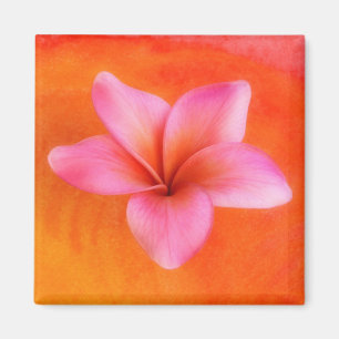 Plumeria Frangipani Hawaii Flower Customized Blank Magnet