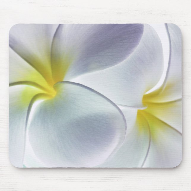 Plumeria Frangipani Hawaii Flower Customized Blank Mouse Pad (Front)