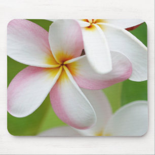 Plumeria Frangipani Hawaii Flower Customized Blank Mouse Pad