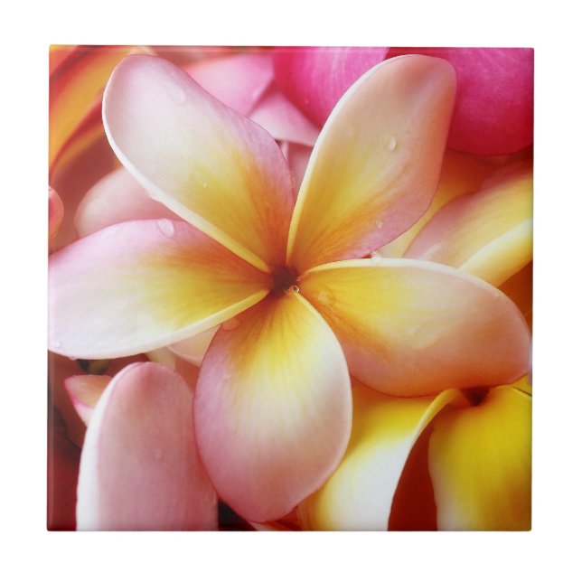 Plumeria Frangipani Hawaii Flower Customized Blank Tile (Front)