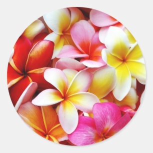 Plumeria Frangipani Hawaii Flower Customized Classic Round Sticker