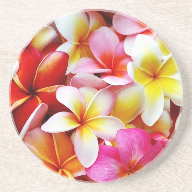 Plumeria Frangipani Hawaii Flower Customized Coaster (Front)